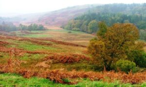 Bargrennan to Polharrow Bridge