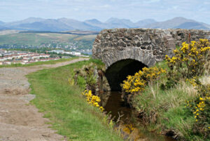 Bridge over the Greenock Cut © Thomas Nugent 