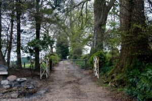 Balfron Drove Road
