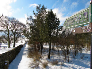 A path between a drystone dyke and a wood. A signpost indicates that the path is called the Thieves Road and a ScotWays sign shows that it is 7.5 miles to West Linton by the Cauldstane Slap.