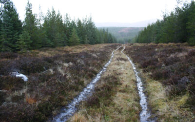 Heritage Path for October 2025: The Fish Road